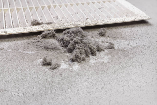 Best Air Duct Cleaning Near Me  in Shannondale, WV