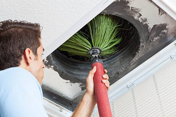 Best HVAC Maintenance and Cleaning  in Shannondale, WV